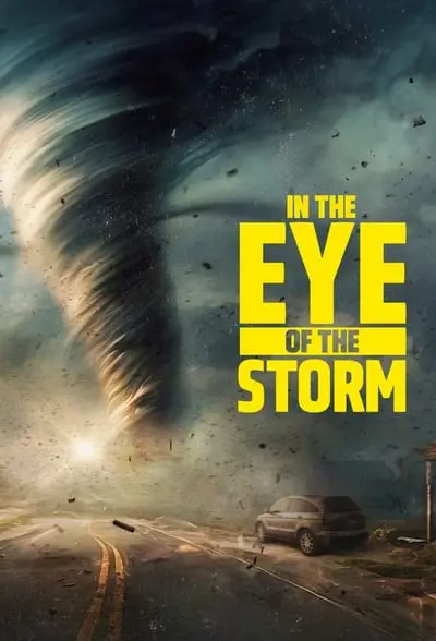 In the Eye of the Storm_poster