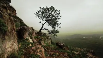 Is Mindfulness Right for You?_backdropimg