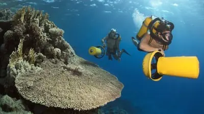 Jacques Cousteau's Vermächtnis - Rückkehr zu den Geheimnissen des Meeres_backdropimg