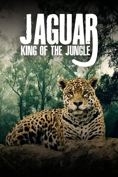 Jaguar: King of the Jungle_poster