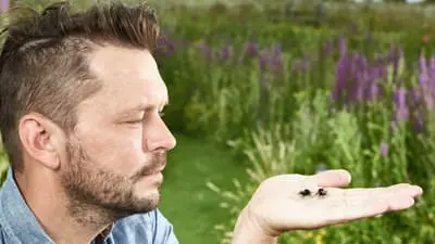 Jimmy's Big Bee Rescue_backdropimg