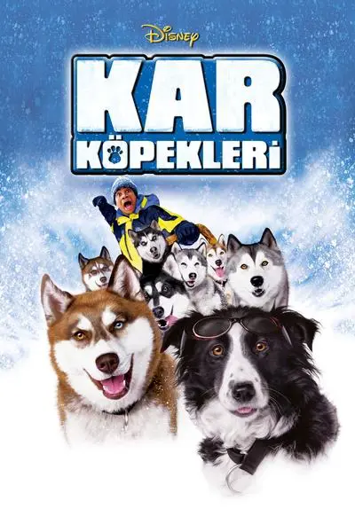 Kar Köpekleri_poster