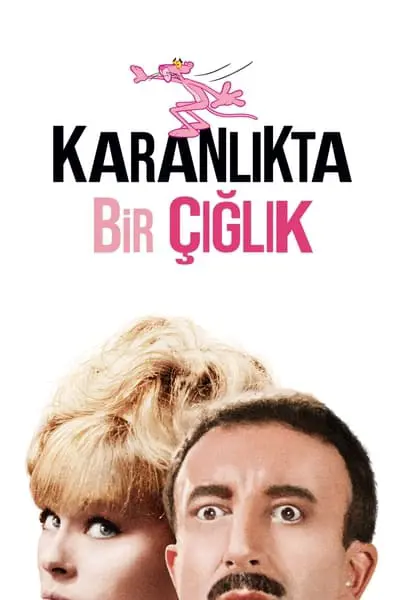 Karanlıkta Bir Çığlık_poster
