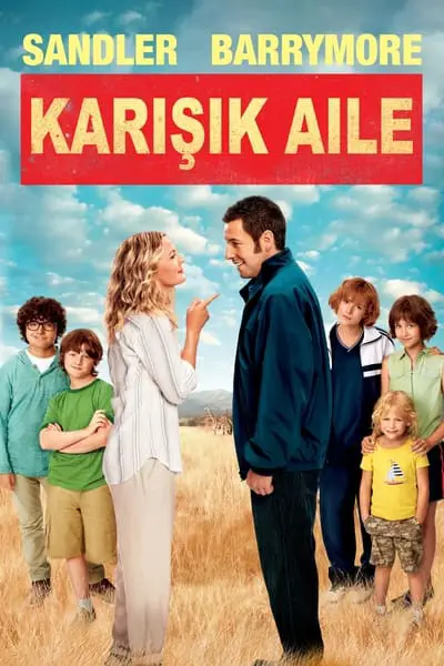 Karışık Aile_poster