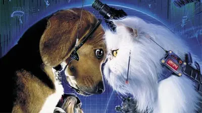 Kediler ve Köpekler_backdropimg