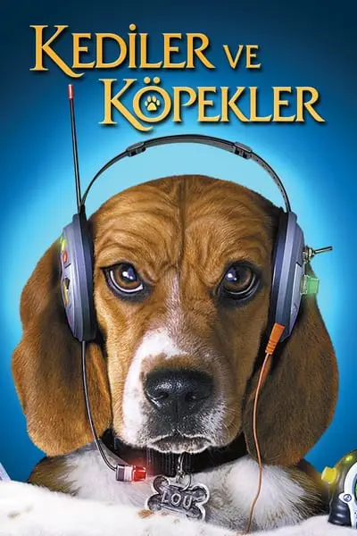 Kediler ve Köpekler_poster
