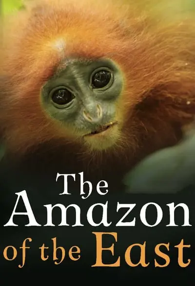 Kinabatangan: Der Amazonas des Ostens_poster