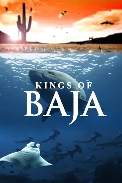 Kings of Baja_poster