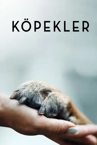 Köpekler_poster