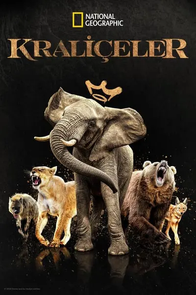 Kraliçeler_poster