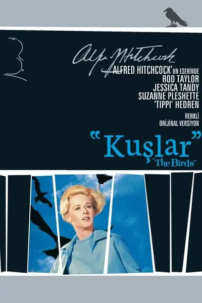 Kuşlar_poster
