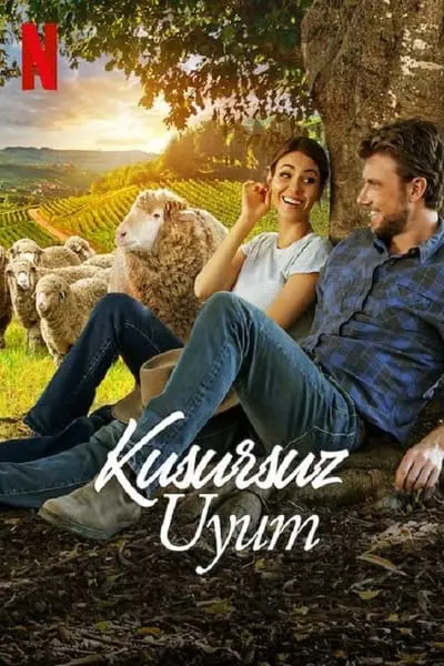 Kusursuz Uyum_poster