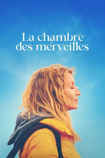 La Chambre des merveilles_poster