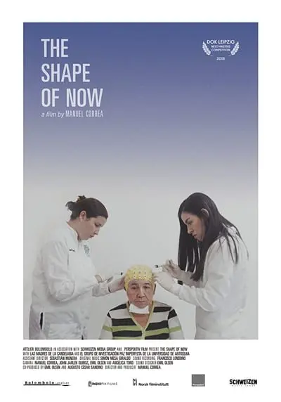 La forma del presente_poster