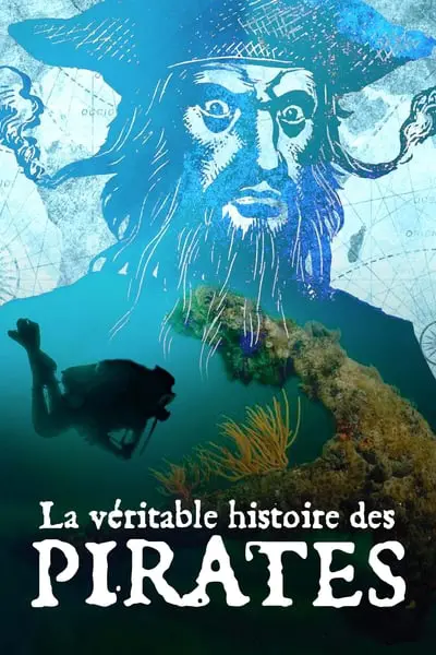 La Véritable histoire des pirates_poster