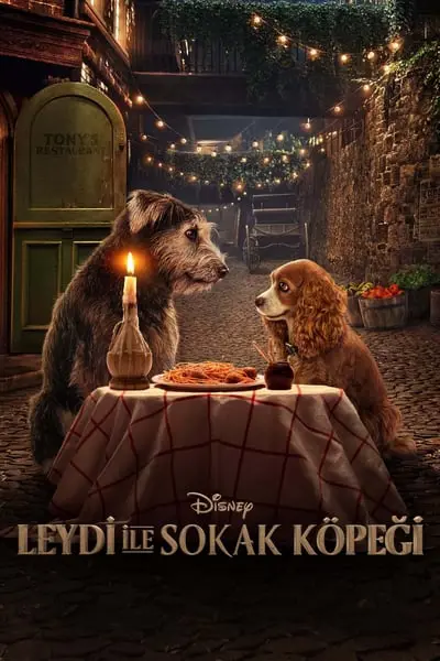 Lady ile Sokak Köpeği_poster