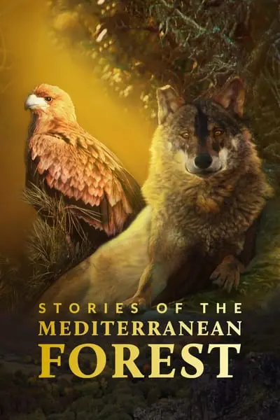 Las historias del bosque mediterráneo_poster