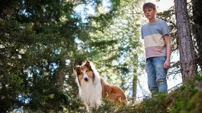 Lassie: Yepyeni Bir Macera_backdropimg