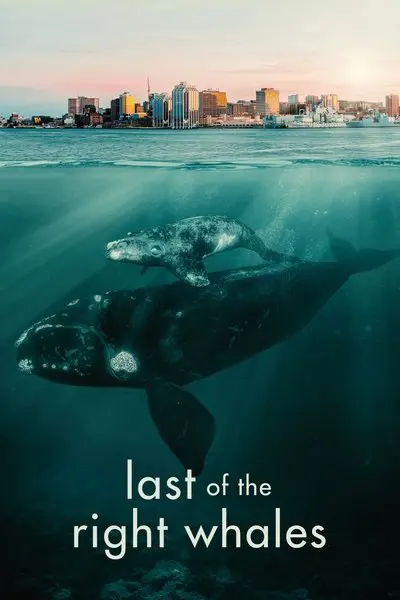 Last of the Right Whales_poster