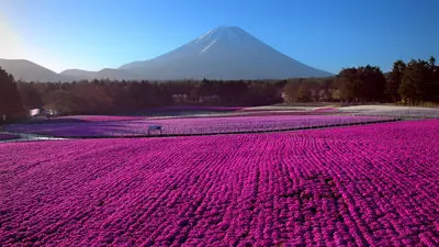 Le Japon vu du ciel_backdropimg