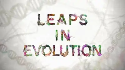 Leaps In Evolution_backdropimg