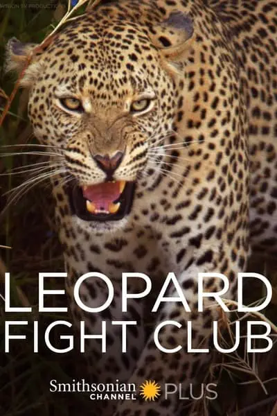 Leopard Fight Club_poster