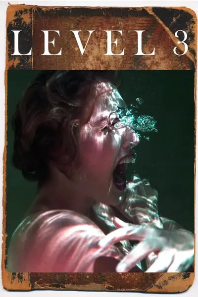 Level 3_poster