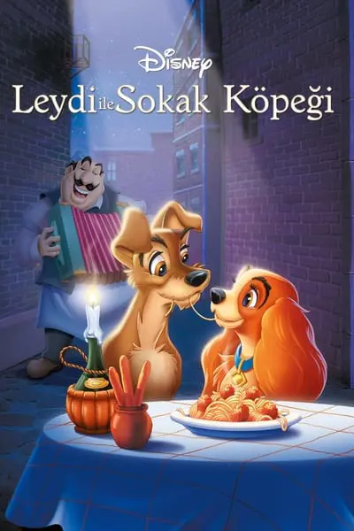Leydi ile Sokak Köpeği_poster