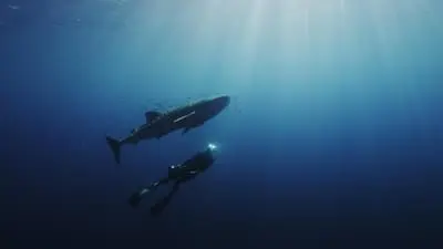 L'odyssée des monstres marins_backdropimg