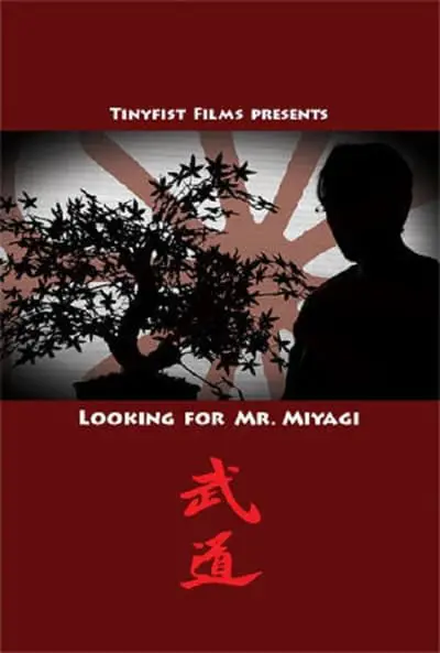 Looking for Mr. Miyagi_poster