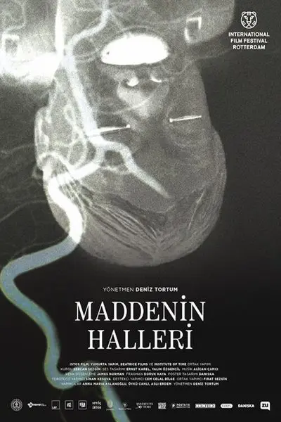 Maddenin Halleri_poster