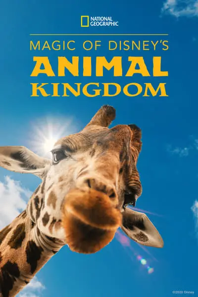 Magic of Disney's Animal Kingdom_poster