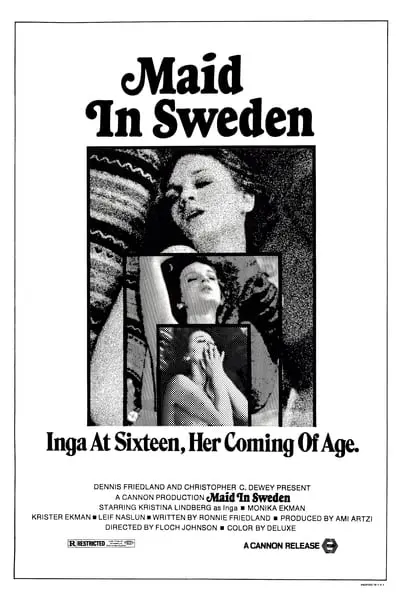 Maid in Sweden_poster