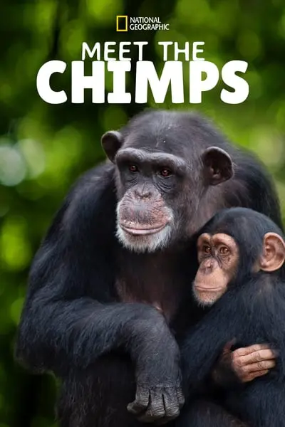 Meet the Chimps_poster