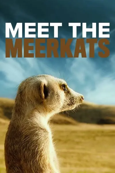 Meet the Meerkats_poster