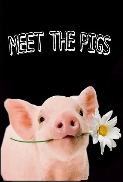 Meet the Pigs_poster