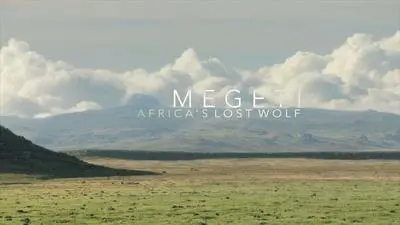 Megeti - Africa's Lost Wolf_backdropimg