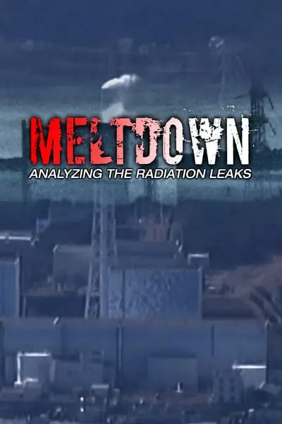 Meltdown:  Analyzing the Radiation Leaks_poster
