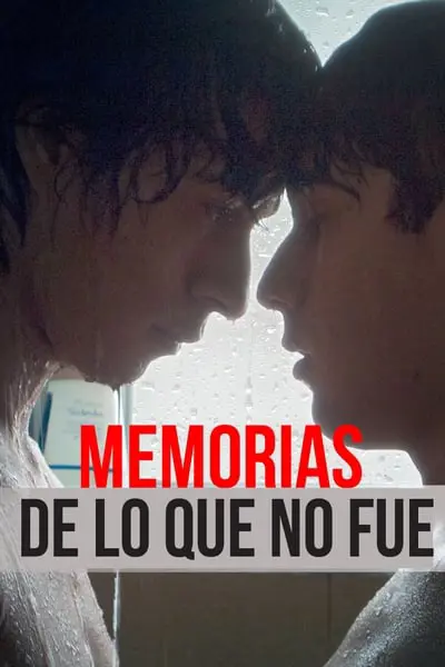 Memorias de lo que no fue_poster