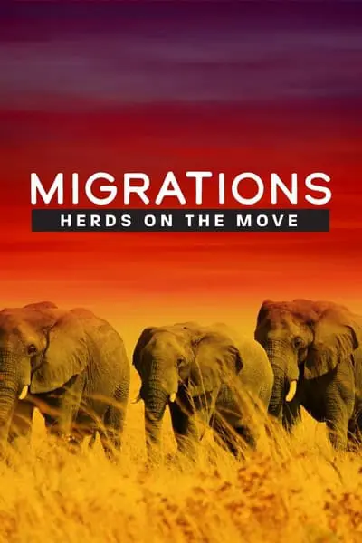 Migrations: Herds on the Move_poster