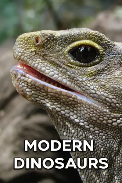 Modern Dinosaurs_poster