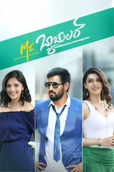 Mr. Bachelor_poster