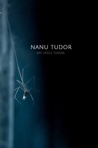 Nanu Tudor_poster