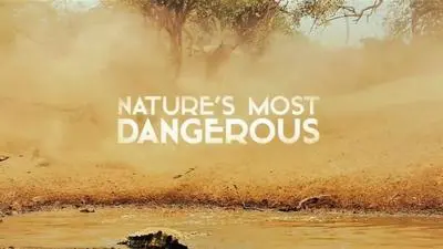 Nature's Most Dangerous_backdropimg