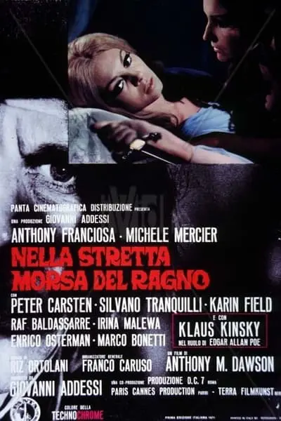 Nella stretta morsa del ragno_poster