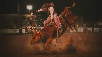 Not Her First Rodeo_backdropimg