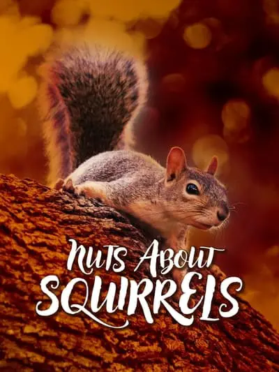 Nuts About Squirrels_poster