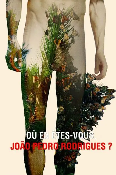 Où en êtes-vous, João Pedro Rodrigues ?_poster