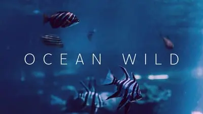 Ocean Wild_backdropimg