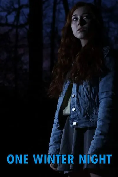 One Winter Night_poster